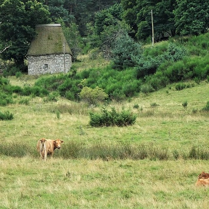 Photo de Le moulin de Cassonié