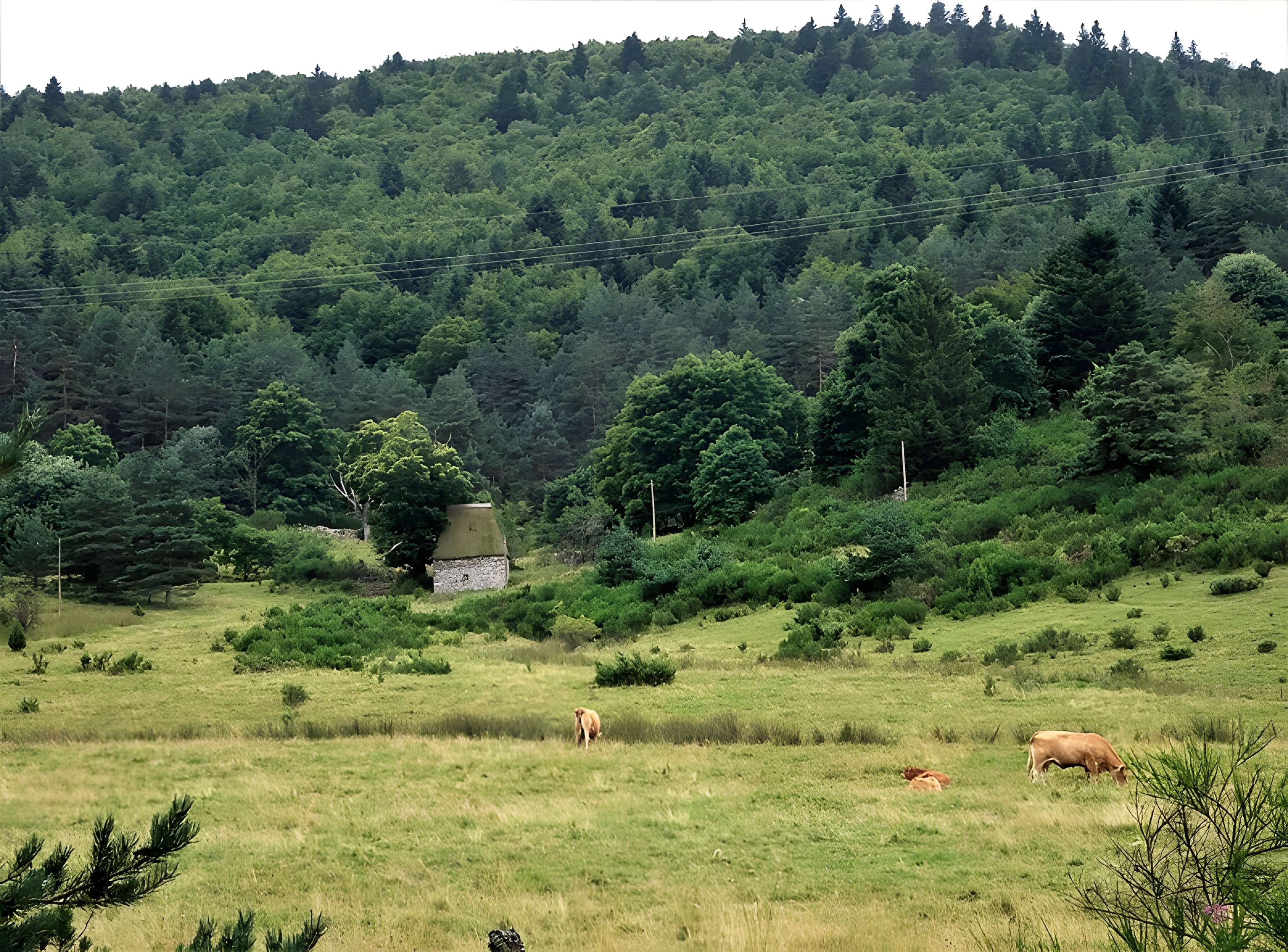 Le moulin de Cassonié