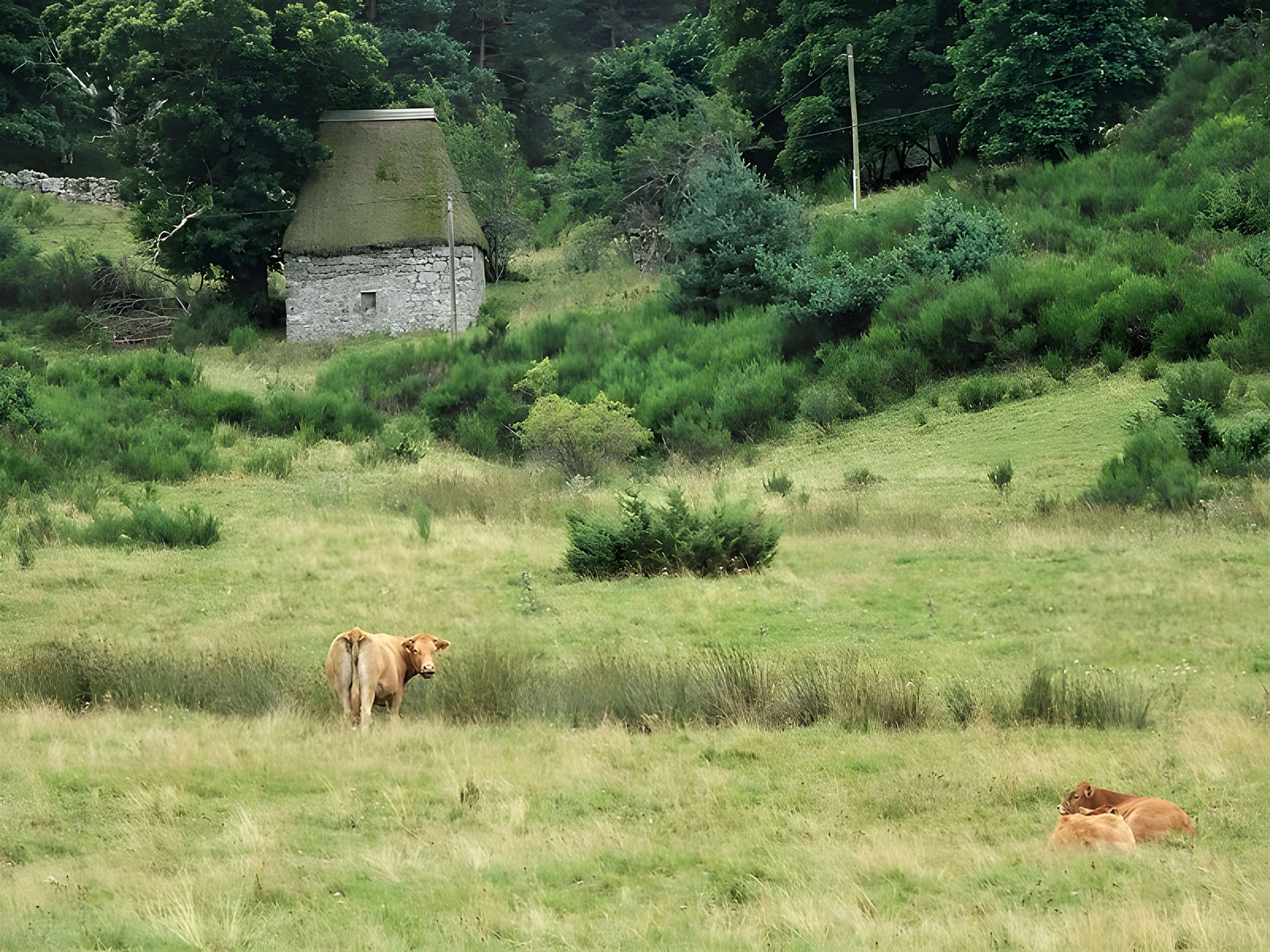 Le moulin de Cassonié