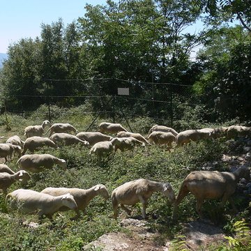 Abbaye de Rompon restes