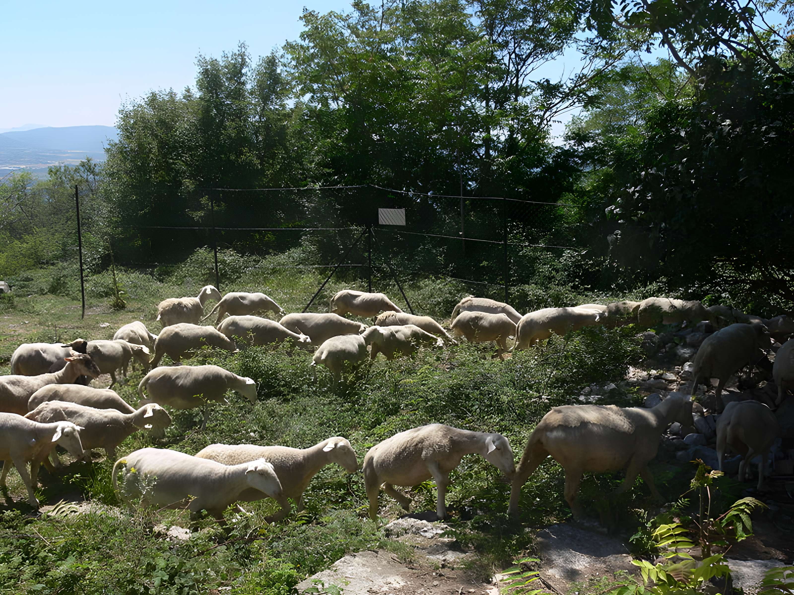 Abbaye de Rompon (restes)