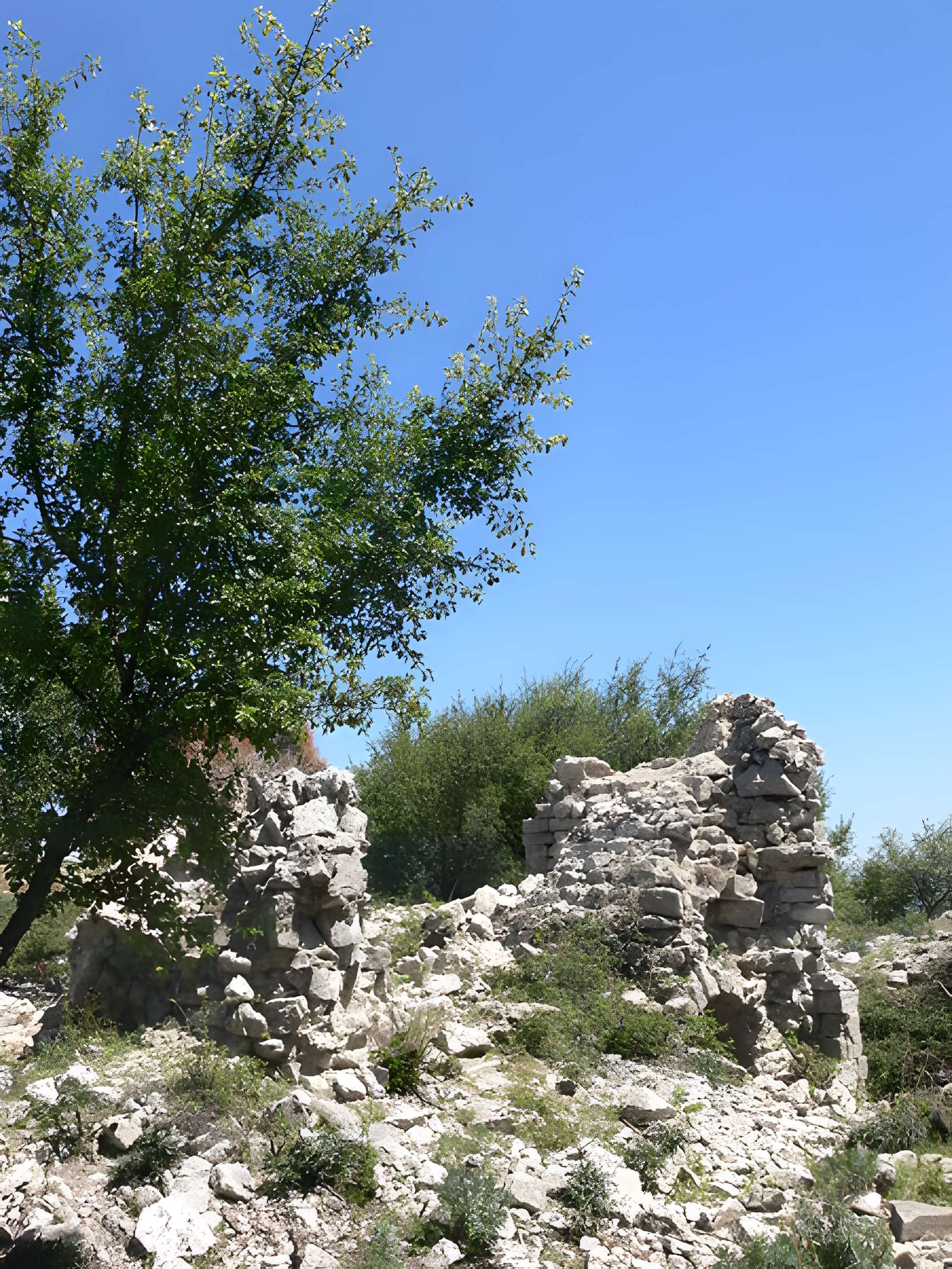 Abbaye de Rompon (restes)