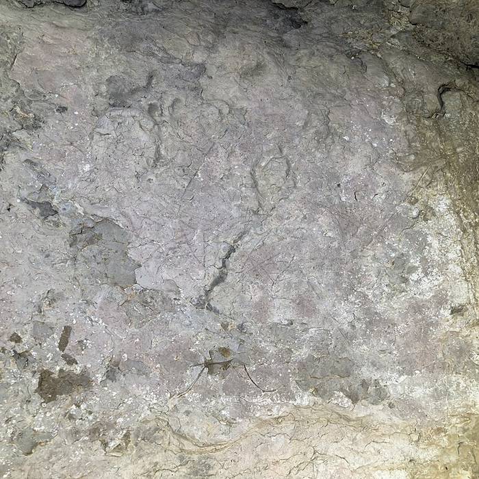 Photo de Huchard Cave; Ranc-Pointu cave n1