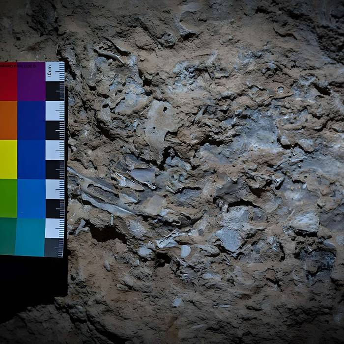 Photo de Huchard Cave; Ranc-Pointu cave n1