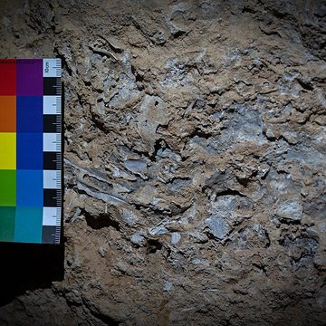 Grotte Huchard ; grotte n1 du Ranc-Pointu