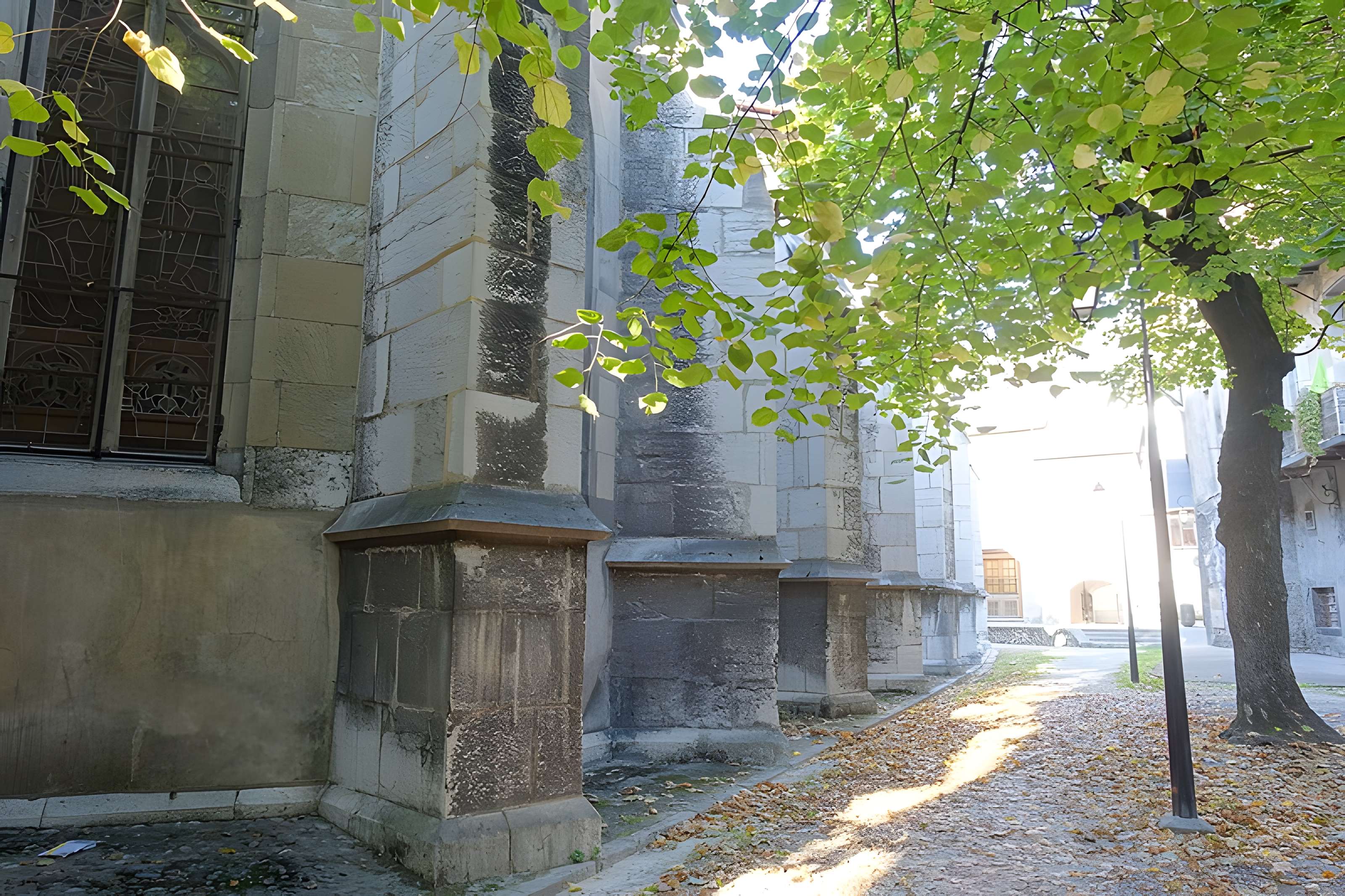 Cathédrale Saint-François-de-Sales de Chambéry
