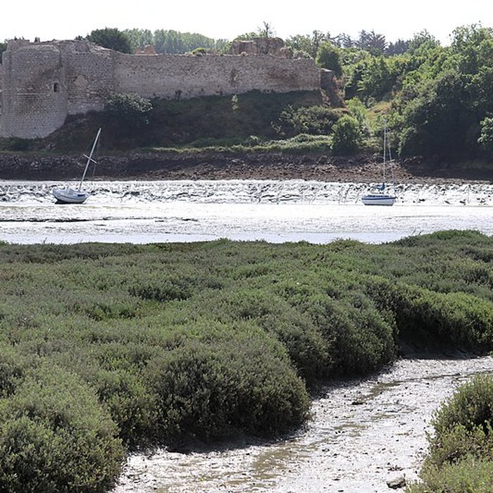 Photo de Restes du château du Guildo