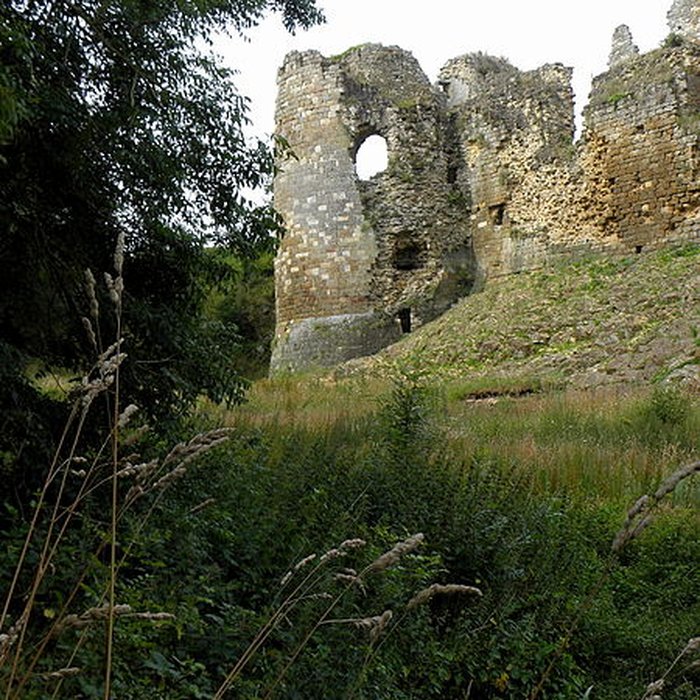 Photo de Restes du château du Guildo