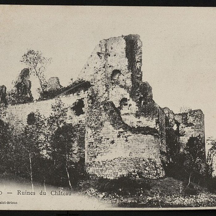 Photo de Restes du château du Guildo