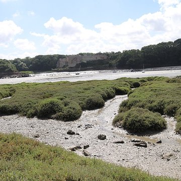 Restes du château du Guildo