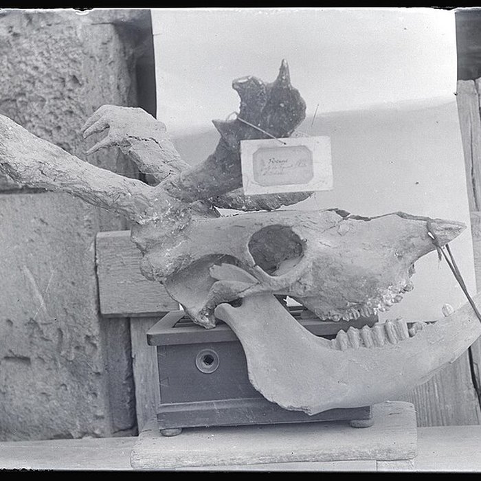 Photo de Grotte du Figuier