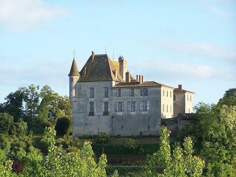 Photo de Château du Hamel