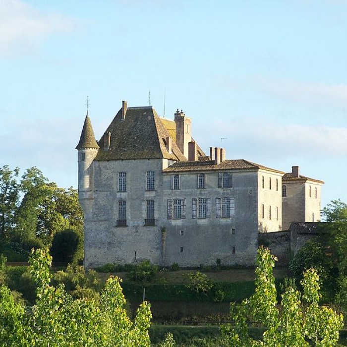 Photo de Château du Hamel