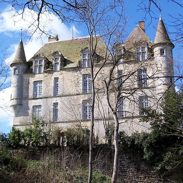 Photo de Château du Hamel