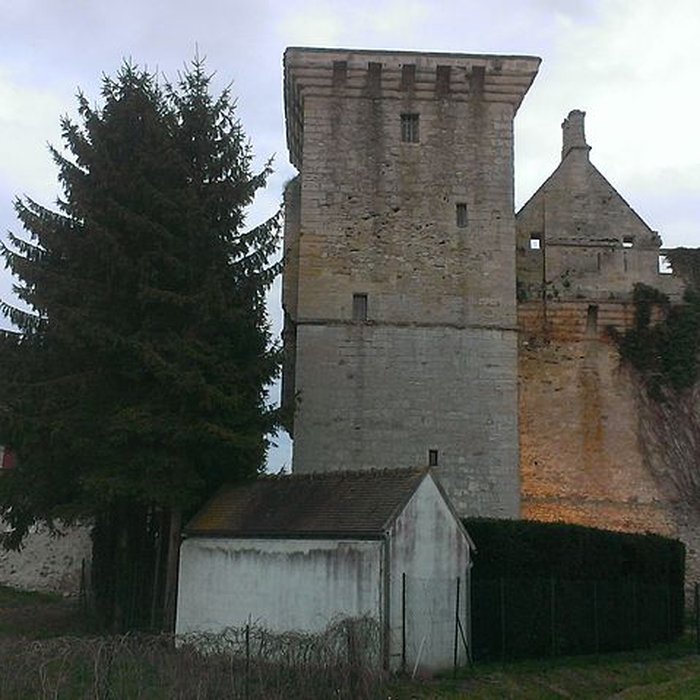 Photo de Château du Houssoy