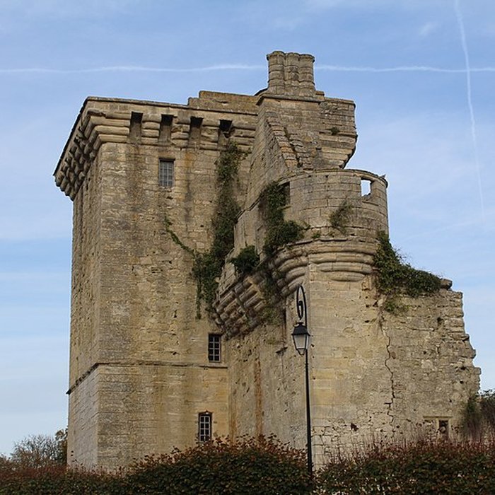 Photo de Château du Houssoy