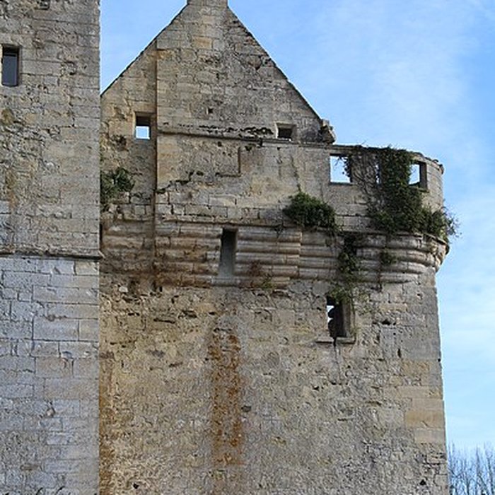 Photo de Château du Houssoy
