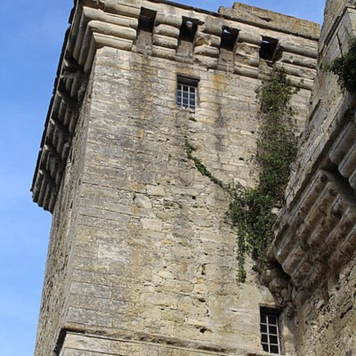 Photo de Château du Houssoy