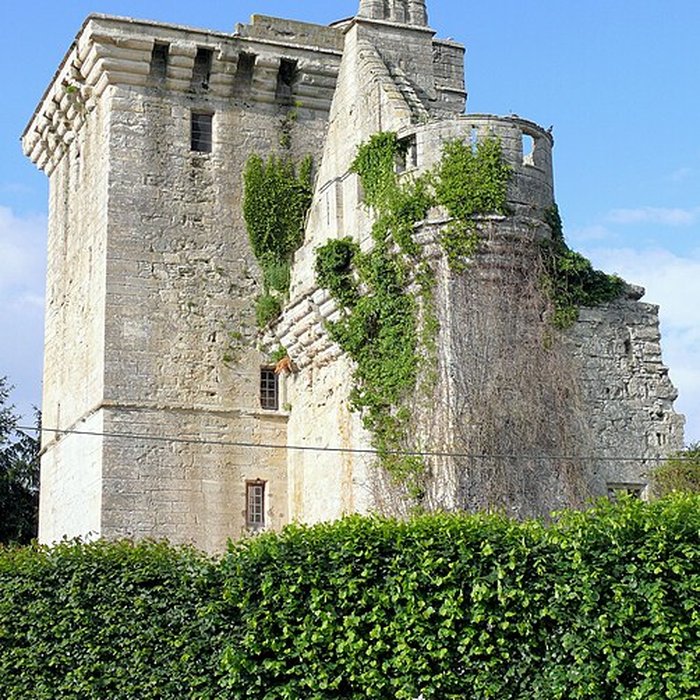 Photo de Château du Houssoy