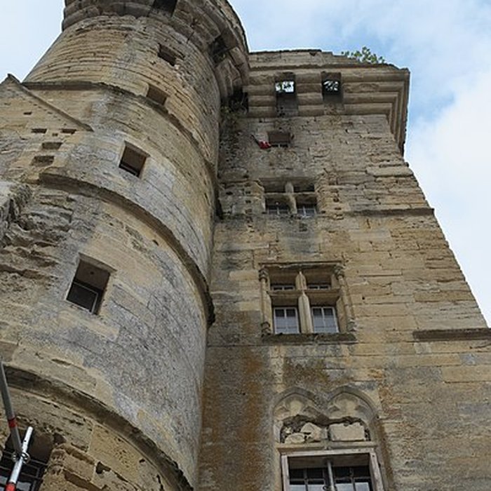 Photo de Château du Houssoy