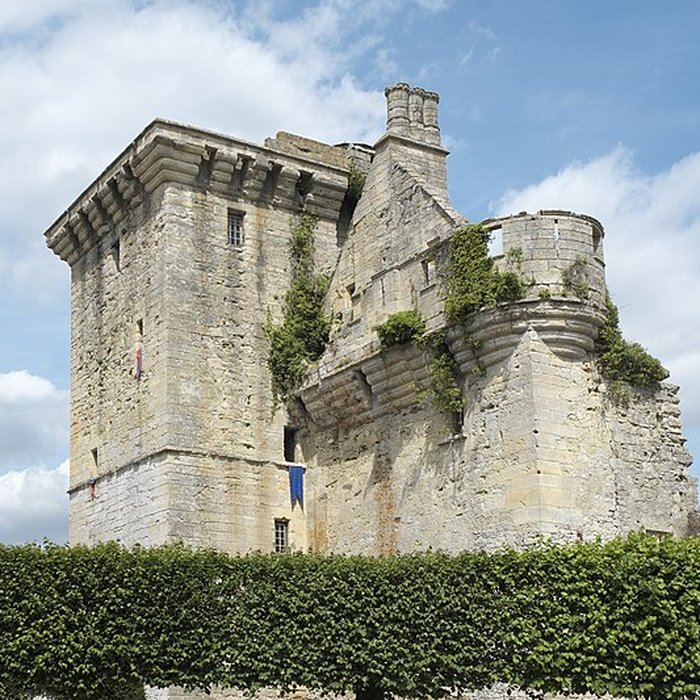 Photo de Château du Houssoy