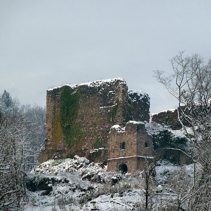 Photo de Ruines du château de Hugstein