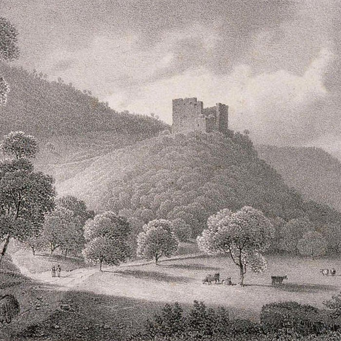 Photo de Ruines du château de Hugstein