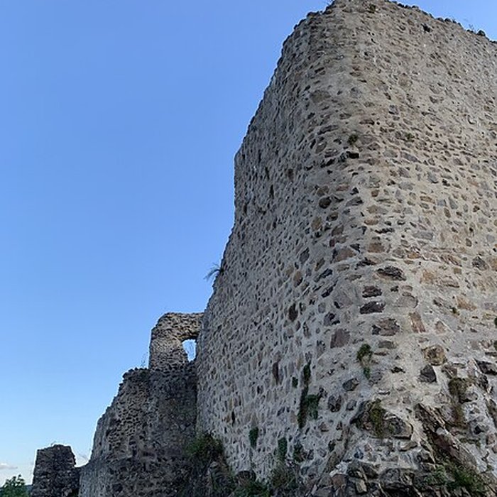 Photo de Ruines du château de Hugstein