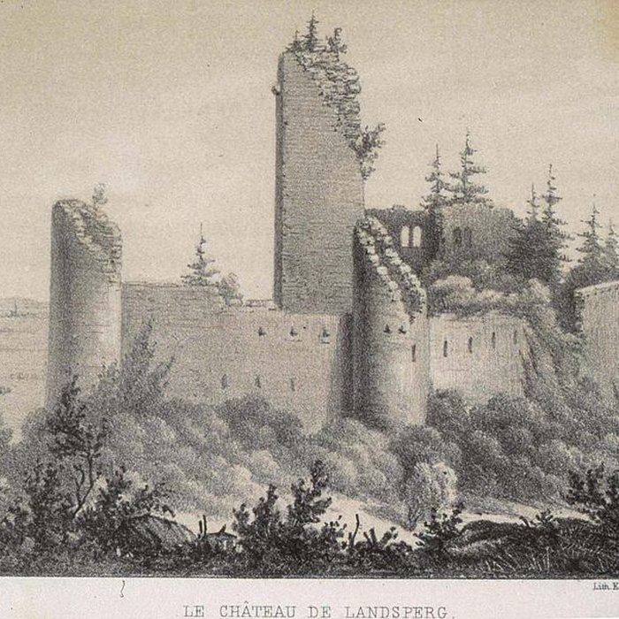 Photo de Château du Landsberg