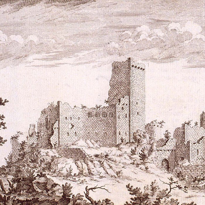 Photo de Château du Landsberg