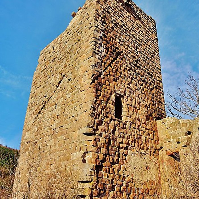 Photo de Château du Landsberg