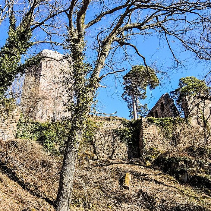 Photo de Château du Landsberg