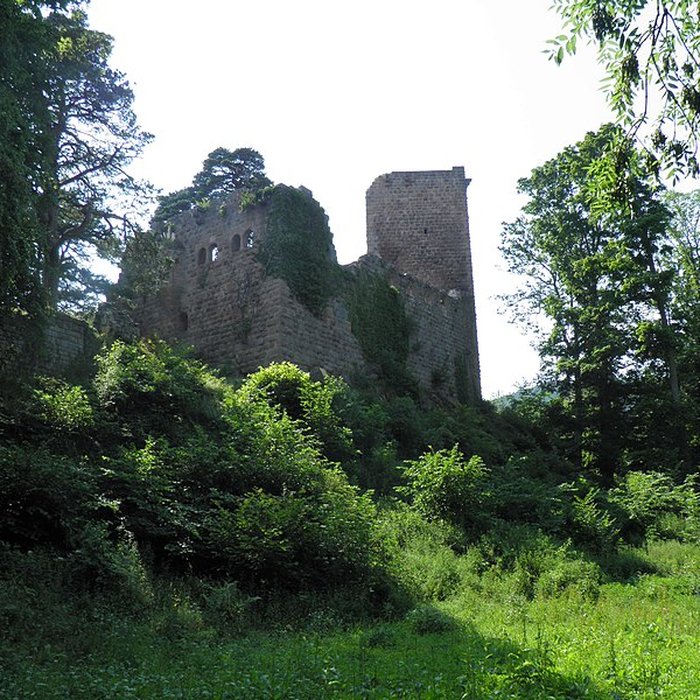 Photo de Château du Landsberg