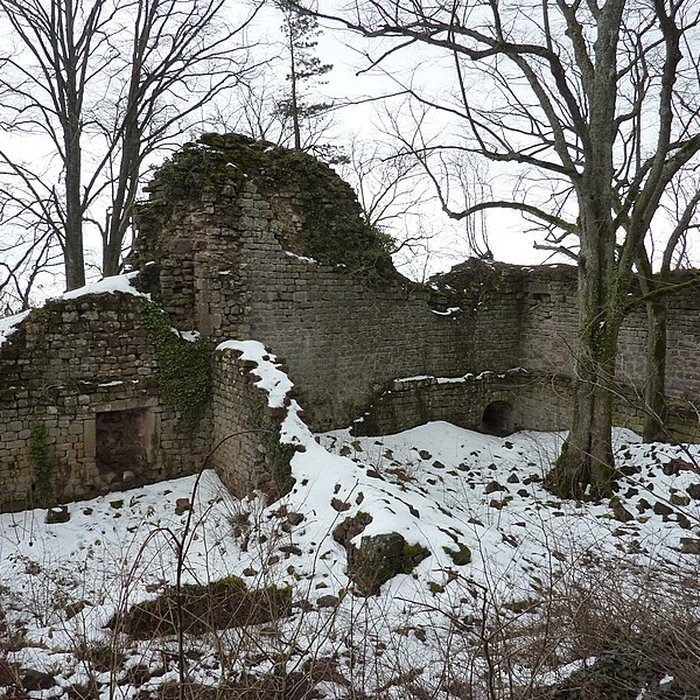 Photo de Château du Landsberg