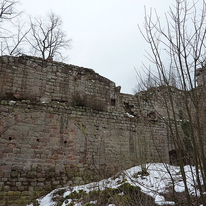 Photo de Château du Landsberg
