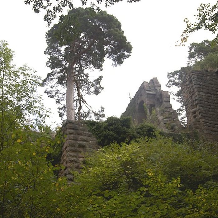 Photo de Château du Landsberg