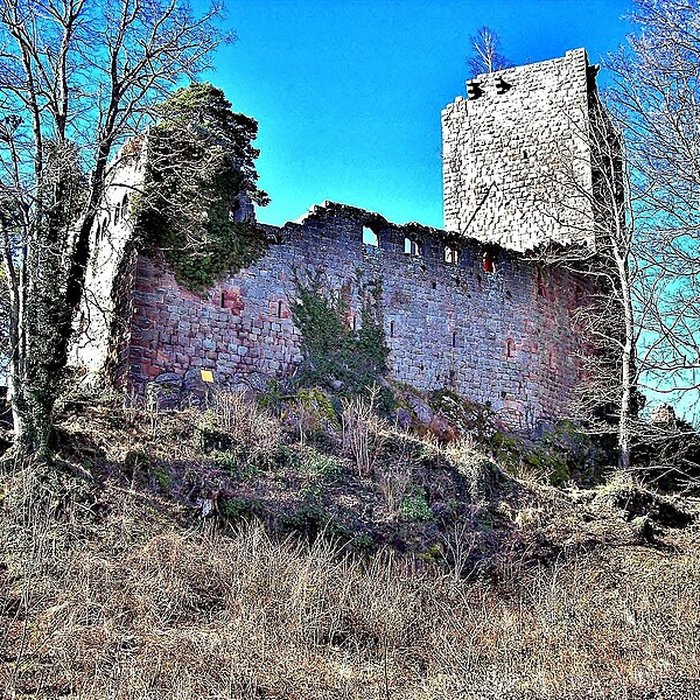 Photo de Château du Landsberg