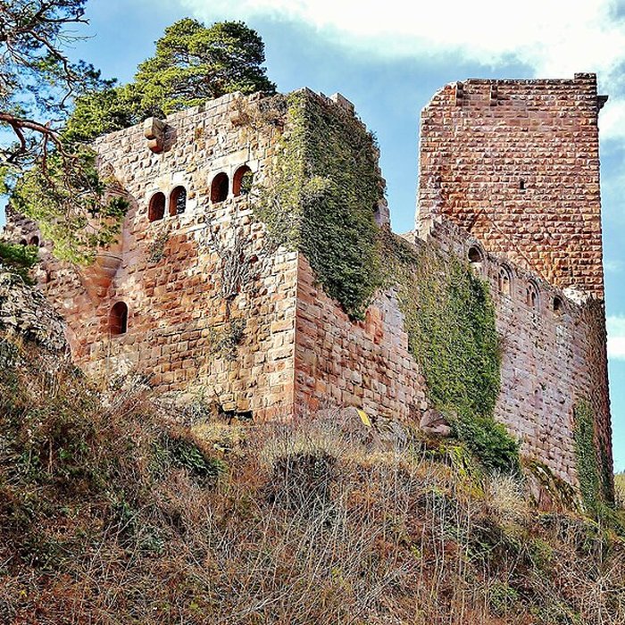 Photo de Château du Landsberg