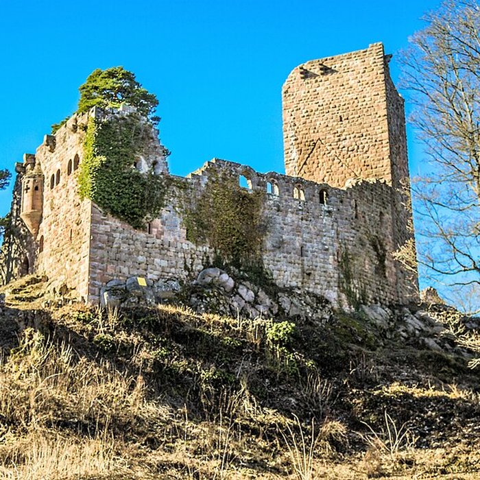 Photo de Château du Landsberg
