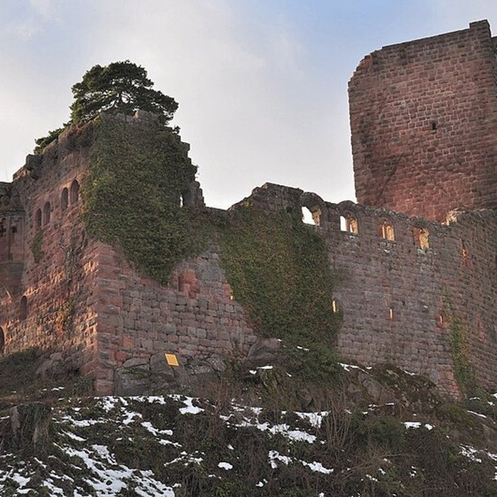 Photo de Château du Landsberg