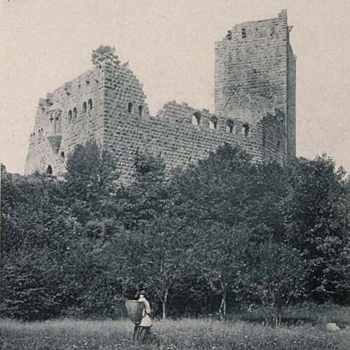 Photo de Château du Landsberg