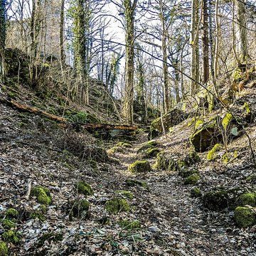 Château du Landsberg