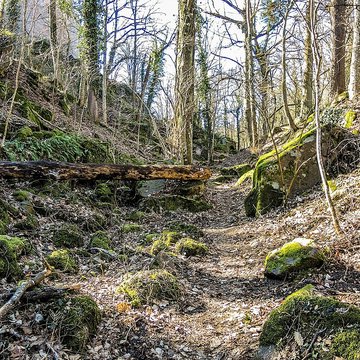 Château du Landsberg