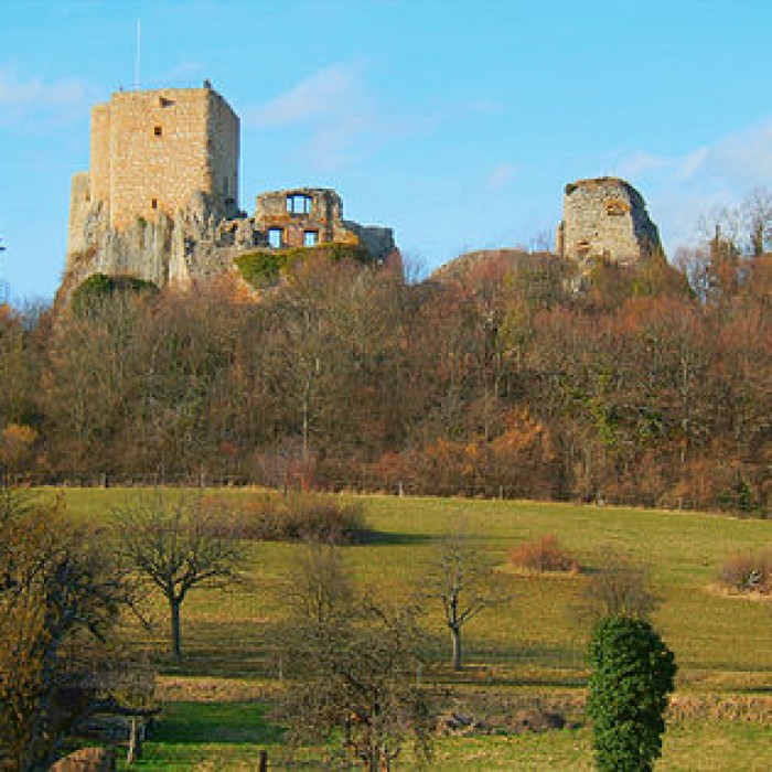 Photo de Château du Landskron