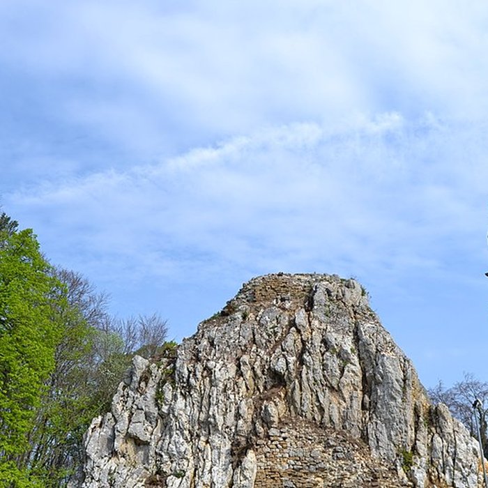 Photo de Château du Landskron