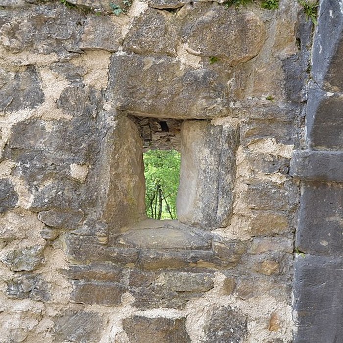 Photo de Château du Landskron