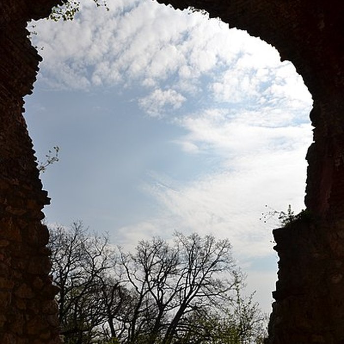 Photo de Château du Landskron