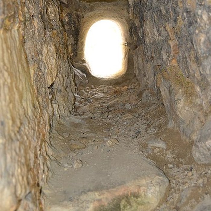 Photo de Château du Landskron