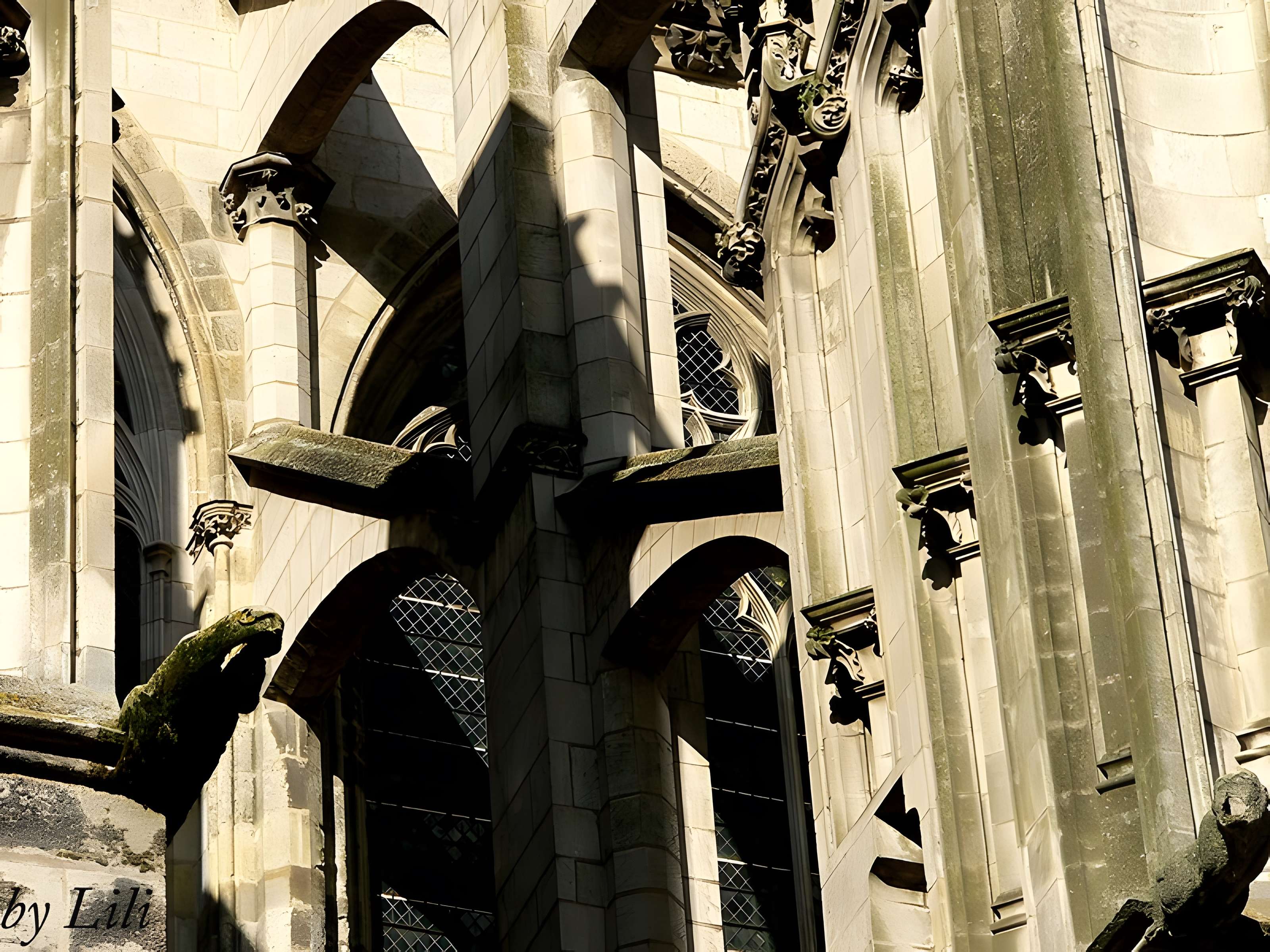 Cathédrale Saint-Gatien de Tours