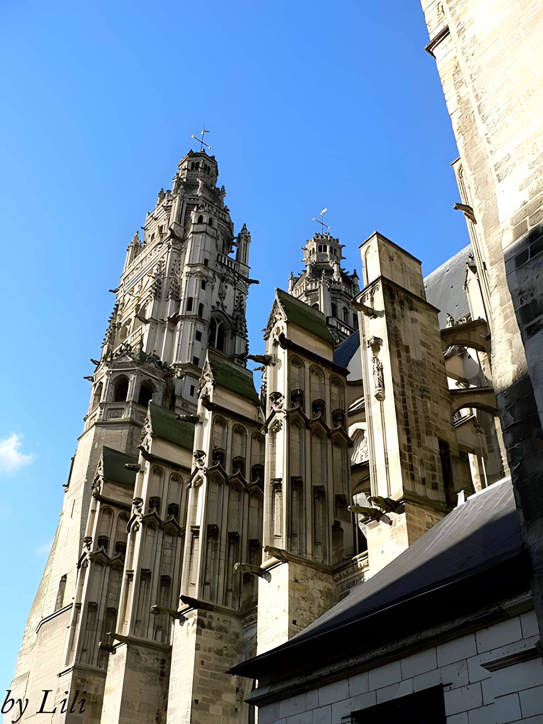 Cathédrale Saint-Gatien de Tours